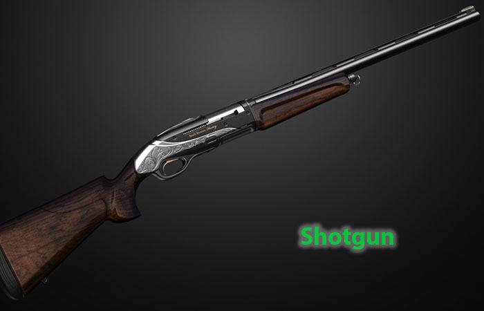 #11. Shotgun