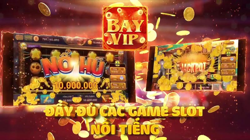  Giới thiệu về Bay Vip