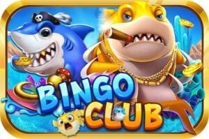 Những lời đồn bingo club có phải sự thật