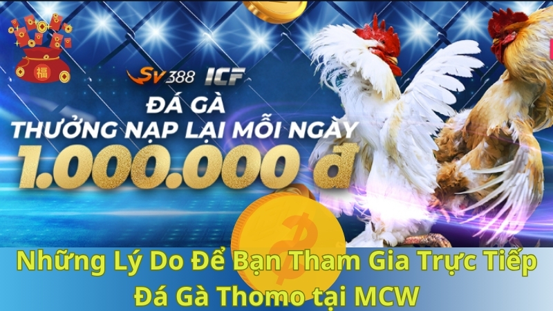 truc-tiep-da-ga-thomo-trai-nghiem-dem-lai-cam-xuc-dinh-cao