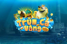  Trùm Cá Vàng – Cổng game săn cá đổi thưởng nhận code miễn phí phổ biến nhất